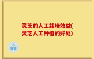 灵芝的人工栽培效益(灵芝人工种植的好处)