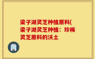梁子湖灵芝种植原料(梁子湖灵芝种植：珍稀灵芝原料的沃土