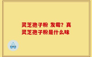 灵芝孢子粉 发霉？真灵芝孢子粉是什么味