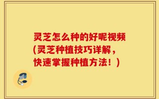 灵芝怎么种的好呢视频(灵芝种植技巧详解，快速掌握种植方法！)