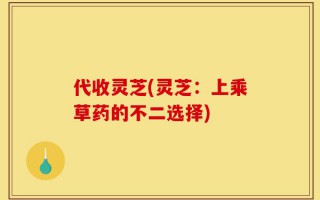 代收灵芝(灵芝：上乘草药的不二选择)