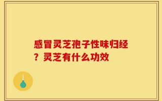 感冒灵芝孢子性味归经？灵芝有什么功效
