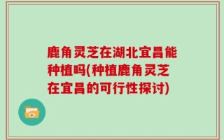 鹿角灵芝在湖北宜昌能种植吗(种植鹿角灵芝在宜昌的可行性探讨)