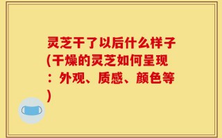 灵芝干了以后什么样子(干燥的灵芝如何呈现：外观、质感、颜色等)