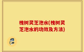 槐树灵芝泡水(槐树灵芝泡水的功效及方法)