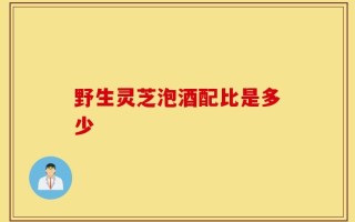 野生灵芝泡酒配比是多少