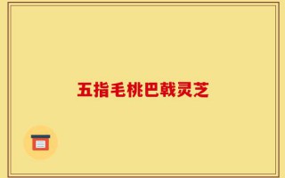 五指毛桃巴戟灵芝