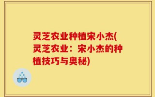 灵芝农业种植宋小杰(灵芝农业：宋小杰的种植技巧与奥秘)