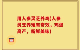 用人参灵芝养鸡(人参灵芝养殖有奇效，鸡蛋高产，新鲜美味)