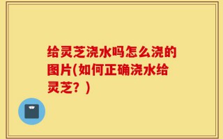 给灵芝浇水吗怎么浇的图片(如何正确浇水给灵芝？)