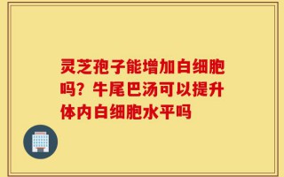 灵芝孢子能增加白细胞吗？牛尾巴汤可以提升体内白细胞水平吗