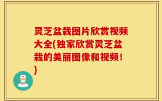 灵芝盆栽图片欣赏视频大全(独家欣赏灵芝盆栽的美丽图像和视频！)