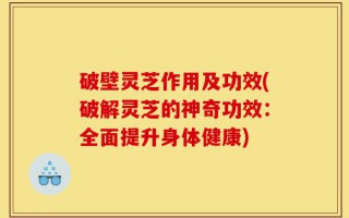 破壁灵芝作用及功效(破解灵芝的神奇功效：全面提升身体健康)