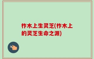 柞木上生灵芝(柞木上的灵芝生命之源)