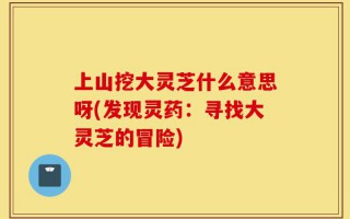 上山挖大灵芝什么意思呀(发现灵药：寻找大灵芝的冒险)