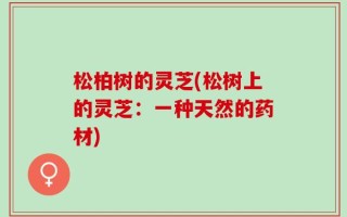 松柏树的灵芝(松树上的灵芝：一种天然的药材)