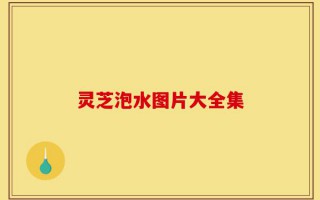灵芝泡水图片大全集