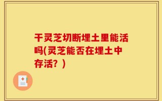 干灵芝切断埋土里能活吗(灵芝能否在埋土中存活？)