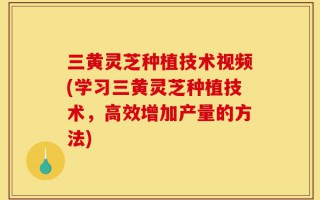三黄灵芝种植技术视频(学习三黄灵芝种植技术，高效增加产量的方法)