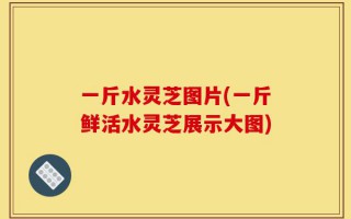 一斤水灵芝图片(一斤鲜活水灵芝展示大图)
