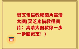 灵芝素描教程图片高清大图(灵芝素描教程图片：高清大图教你一步一步画灵芝！)