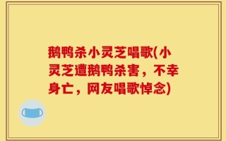 鹅鸭杀小灵芝唱歌(小灵芝遭鹅鸭杀害，不幸身亡，网友唱歌悼念)