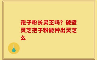 孢子粉长灵芝吗？破壁灵芝孢子粉能种出灵芝么