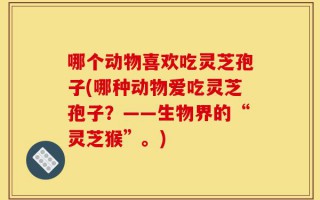 哪个动物喜欢吃灵芝孢子(哪种动物爱吃灵芝孢子？——生物界的“灵芝猴”。)