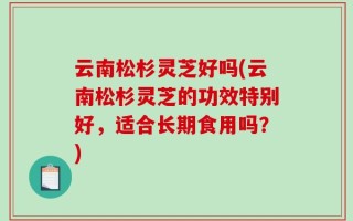 云南松杉灵芝好吗(云南松杉灵芝的功效特别好，适合长期食用吗？)