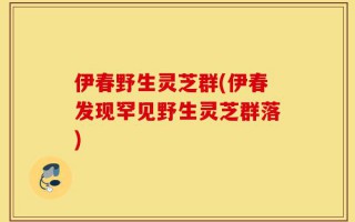伊春野生灵芝群(伊春发现罕见野生灵芝群落)
