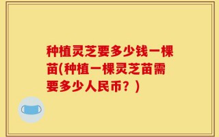 种植灵芝要多少钱一棵苗(种植一棵灵芝苗需要多少人民币？)