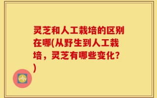 灵芝和人工栽培的区别在哪(从野生到人工栽培，灵芝有哪些变化？)