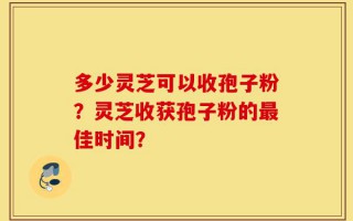 多少灵芝可以收孢子粉？灵芝收获孢子粉的最佳时间？