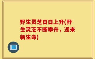 野生灵芝日日上升(野生灵芝不断攀升，迎来新生命)