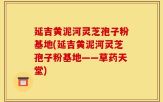 延吉黄泥河灵芝孢子粉基地(延吉黄泥河灵芝孢子粉基地——草药天堂)