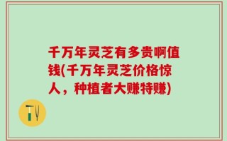 千万年灵芝有多贵啊值钱(千万年灵芝价格惊人，种植者大赚特赚)