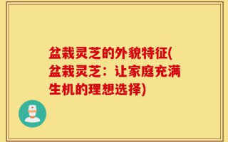 盆栽灵芝的外貌特征(盆栽灵芝：让家庭充满生机的理想选择)