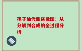 孢子油代谢途径图：从分解到合成的全过程分析