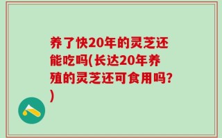 养了快20年的灵芝还能吃吗(长达20年养殖的灵芝还可食用吗？)