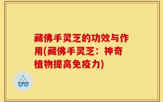 藏佛手灵芝的功效与作用(藏佛手灵芝：神奇植物提高免疫力)