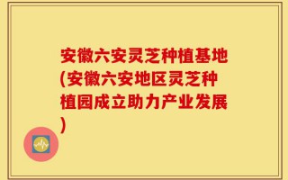 安徽六安灵芝种植基地(安徽六安地区灵芝种植园成立助力产业发展)