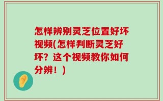 怎样辨别灵芝位置好坏视频(怎样判断灵芝好坏？这个视频教你如何分辨！)