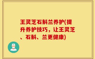 王灵芝石斛兰养护(提升养护技巧，让王灵芝、石斛、兰更健康)