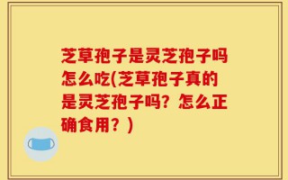 芝草孢子是灵芝孢子吗怎么吃(芝草孢子真的是灵芝孢子吗？怎么正确食用？)