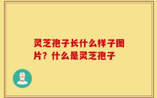 灵芝孢子长什么样子图片？什么是灵芝孢子