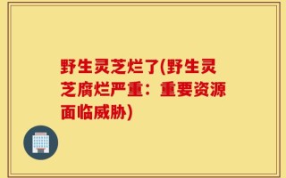 野生灵芝烂了(野生灵芝腐烂严重：重要资源面临威胁)