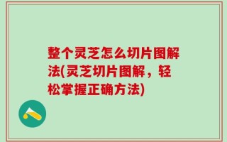 整个灵芝怎么切片图解法(灵芝切片图解，轻松掌握正确方法)