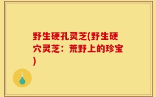 野生硬孔灵芝(野生硬穴灵芝：荒野上的珍宝)