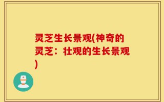 灵芝生长景观(神奇的灵芝：壮观的生长景观)