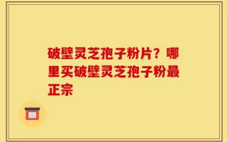 破壁灵芝孢子粉片？哪里买破壁灵芝孢子粉最正宗